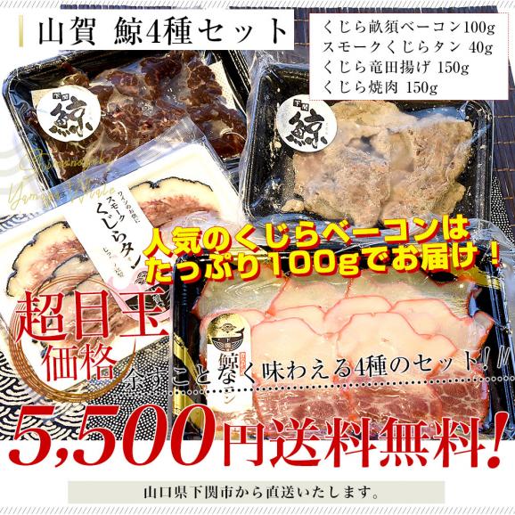 山口県より直送 山賀 鯨4種セット(B) くじら 鯨ベーコン 鯨タン 鯨焼肉 鯨竜田揚げ 送料無料 ※クール冷凍便03