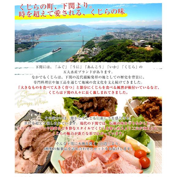 山口県より直送 山賀 鯨4種セット(B) くじら 鯨ベーコン 鯨タン 鯨焼肉 鯨竜田揚げ 送料無料 ※クール冷凍便04
