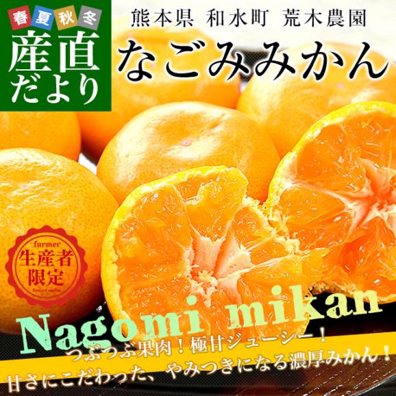 熊本県から産地直送 和水町 荒木農園 なごみみかん 秀品 MからSサイズ 約5キロ（50玉から60玉前後）送料無料 ミカン 蜜柑 和水02