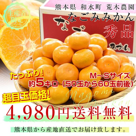 熊本県から産地直送 和水町 荒木農園 なごみみかん 秀品 MからSサイズ 約5キロ（50玉から60玉前後）送料無料 ミカン 蜜柑 和水03