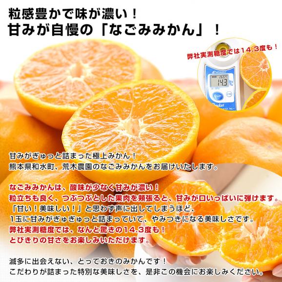 熊本県から産地直送 和水町 荒木農園 なごみみかん 秀品 MからSサイズ 約5キロ（50玉から60玉前後）送料無料 ミカン 蜜柑 和水04