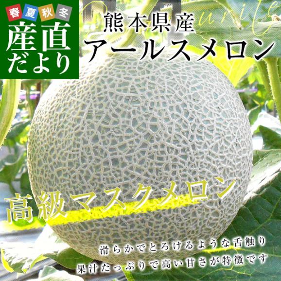 熊本県産 大玉アールスメロン 約8キロ原体箱(4玉入)送料無料 めろん アールスメロン マスクメロン02