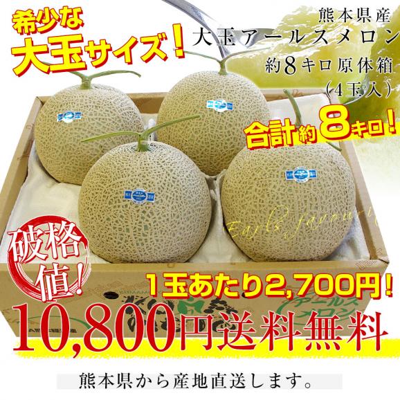 熊本県産 大玉アールスメロン　約8キロ原体箱（4玉入）送料無料 めろん アールスメロン マスクメロン03