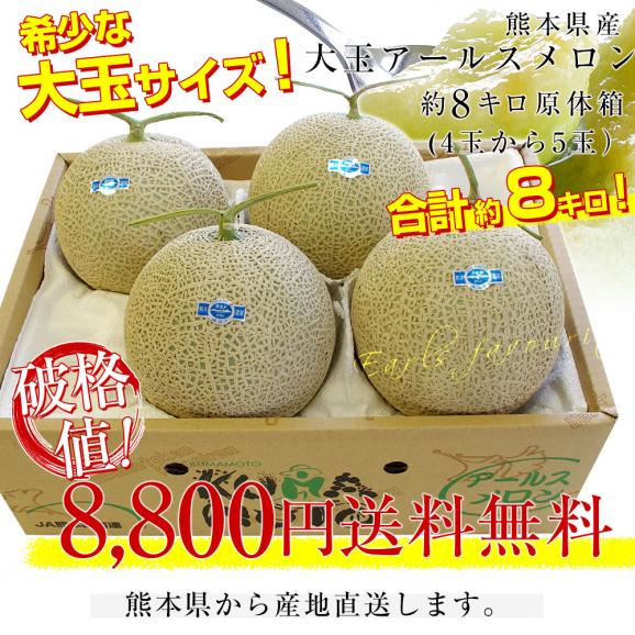 熊本県から産地直送 大玉アールスメロン 約8キロ原体箱(4玉から5玉)送料無料 めろん アールスメロン マスクメロン03