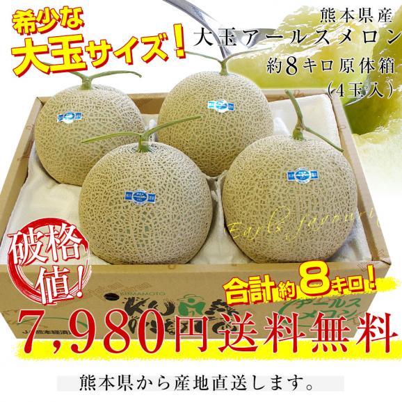 熊本県産 大玉アールスメロン 約8キロ原体箱(4玉入)送料無料 めろん アールスメロン マスクメロン03