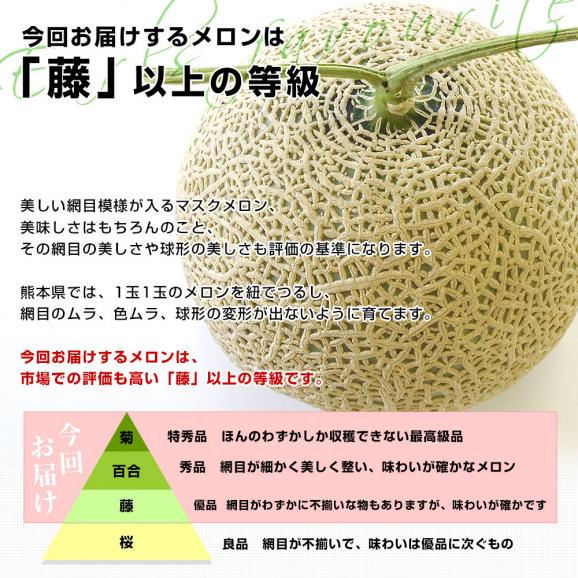 熊本県産 大玉アールスメロン 約8キロ原体箱(4玉入)送料無料 めろん アールスメロン マスクメロン04