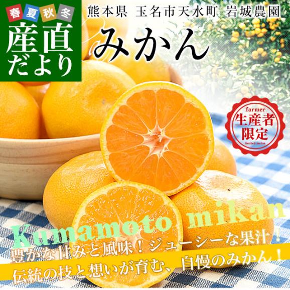 熊本県から産地直送 玉名市天水町 岩城農園 みかん LからSサイズ 約3キロ(24玉から36玉前後)送料無料 ミカン 蜜柑 iFARM02