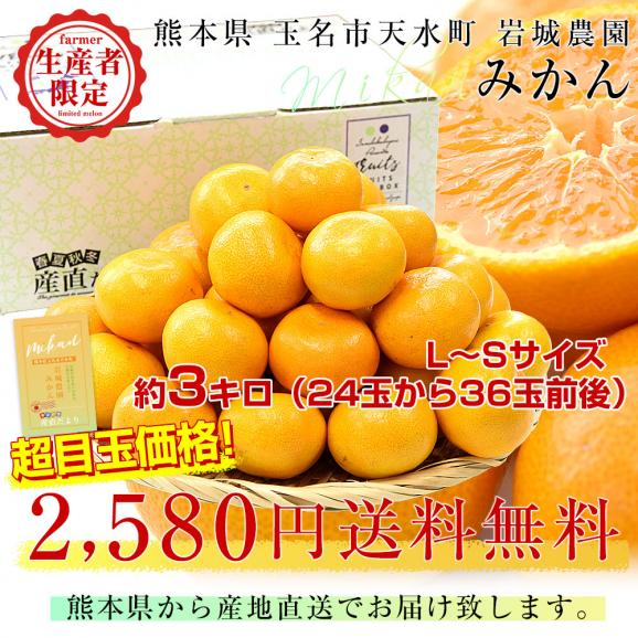 熊本県から産地直送 玉名市天水町 岩城農園 みかん LからSサイズ 約3キロ(24玉から36玉前後)送料無料 ミカン 蜜柑 iFARM03