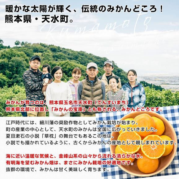 熊本県から産地直送 玉名市天水町 岩城農園 みかん LからSサイズ 約3キロ(24玉から36玉前後)送料無料 ミカン 蜜柑 iFARM05