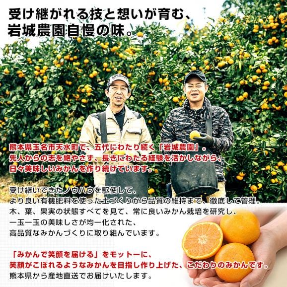 熊本県から産地直送 玉名市天水町 岩城農園 みかん LからSサイズ 約3キロ(24玉から36玉前後)送料無料 ミカン 蜜柑 iFARM06