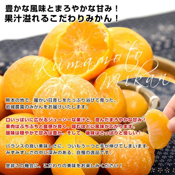 熊本県から産地直送 玉名市天水町 岩城農園 みかん LからSサイズ 約3キロ×2箱(合計48玉から72玉前後)送料無料 ミカン 蜜柑 iFARM04