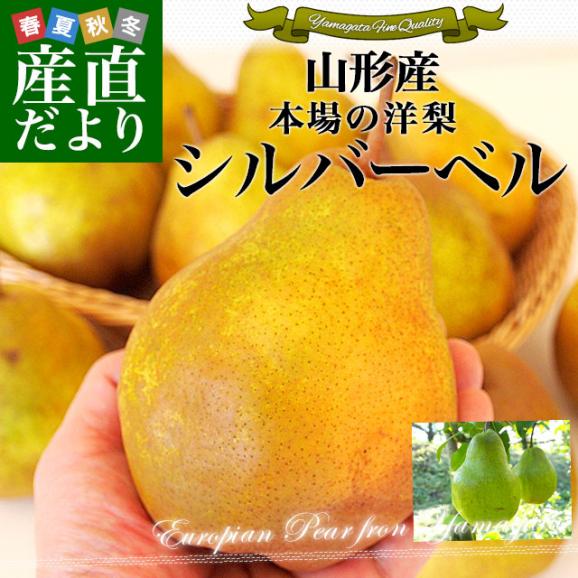 山形県産　洋梨シルバーベル 秀品以上 3キロ (5玉から10玉) 送料無料 洋梨　02