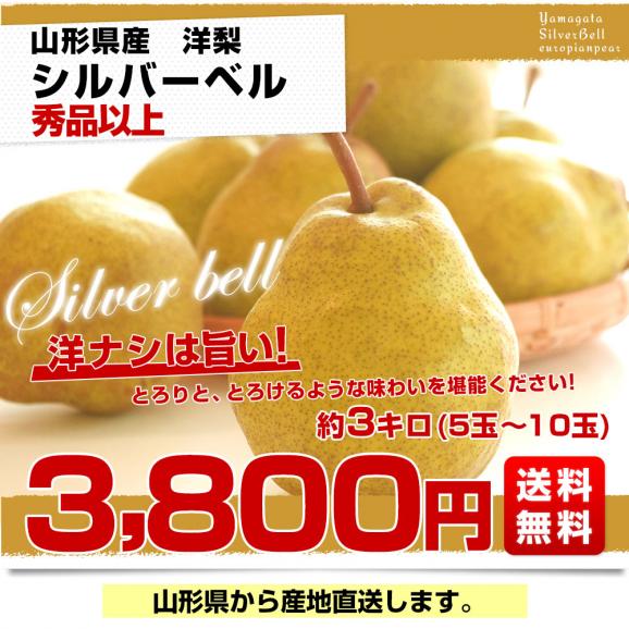 山形県産　洋梨シルバーベル 秀品以上 3キロ (5玉から10玉) 送料無料 洋梨　03