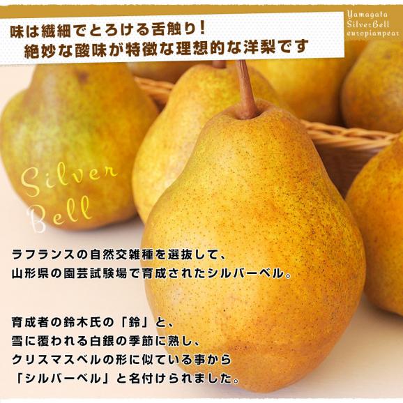 山形県産　洋梨シルバーベル 秀品以上 3キロ (5玉から10玉) 送料無料 洋梨　04