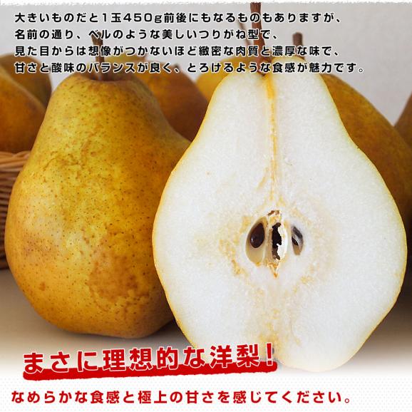 山形県産　洋梨シルバーベル 秀品以上 3キロ (5玉から10玉) 送料無料 洋梨　05