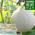 熊本県産 大玉アールスメロン 約8キロ原体箱(5玉入)送料無料 めろん アールスメロン マスクメロン
