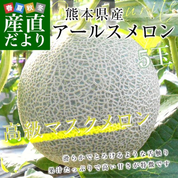 熊本県産 大玉アールスメロン 約8キロ原体箱（5玉入）送料無料 めろん アールスメロン マスクメロン02