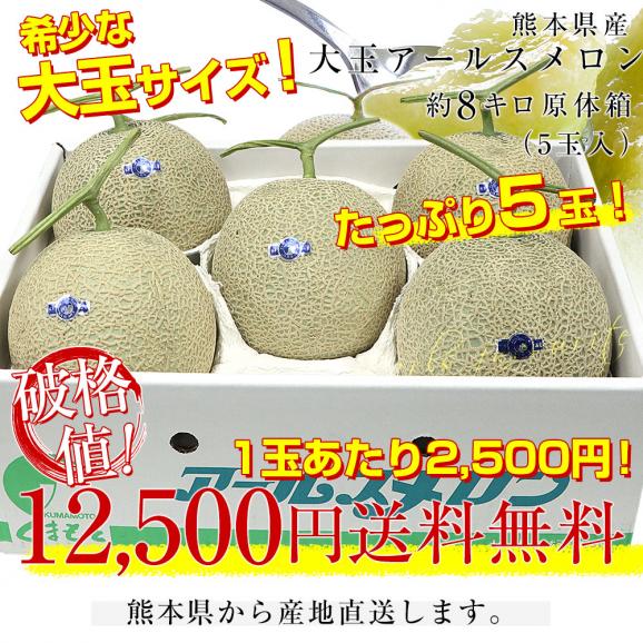 熊本県産 大玉アールスメロン 約8キロ原体箱(5玉入)送料無料 めろん アールスメロン マスクメロン03