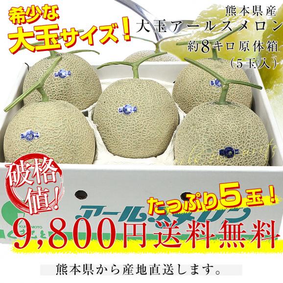 熊本県産 大玉アールスメロン 約8キロ原体箱（5玉入）送料無料 めろん アールスメロン マスクメロン03