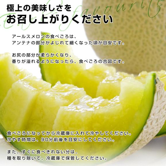 熊本県産 大玉アールスメロン 約8キロ原体箱（5玉入）送料無料 めろん アールスメロン マスクメロン06