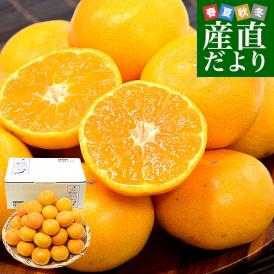 熊本県 味咲グループ 早生みかん SからLサイズ 約3キロ(合計24玉から36玉前後) 送料無料 みかん 蜜柑 柑橘