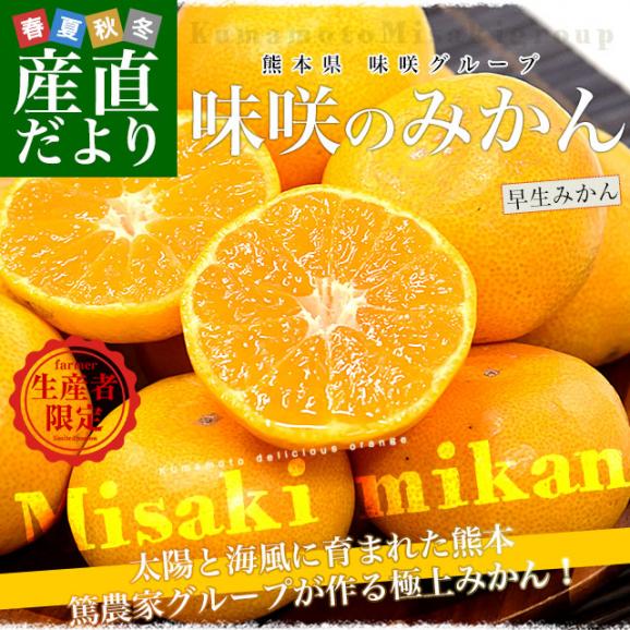 熊本県 味咲グループ 早生みかん SからLサイズ 約3キロ(合計24玉から36玉前後) 送料無料 みかん 蜜柑 柑橘02