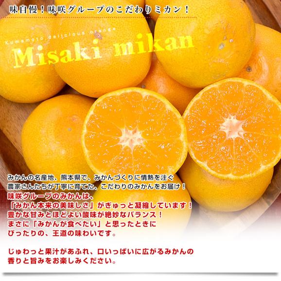 熊本県 味咲グループ 早生みかん SからLサイズ 約3キロ(合計24玉から36玉前後) 送料無料 みかん 蜜柑 柑橘04