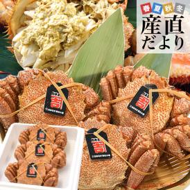 北海道産毛ガニ！濃厚カニみそ・身入・旨さ全部満足度抜群！