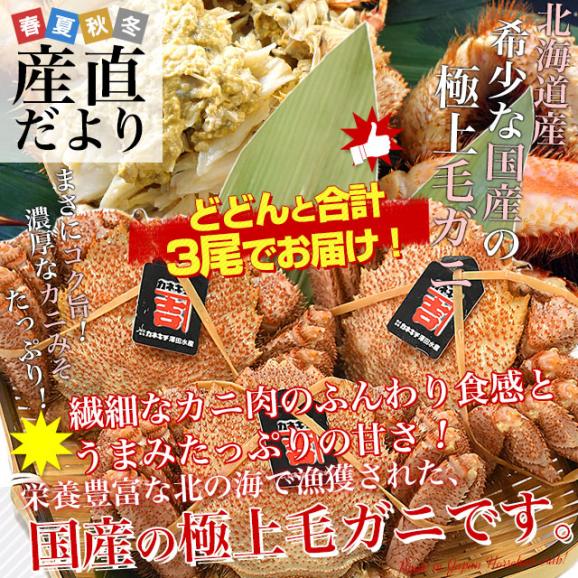 北海道より直送 北海道産 「浜ゆで 毛ガニ」350g前後×3尾入 送料無料 かに カニ 毛がに 毛蟹02