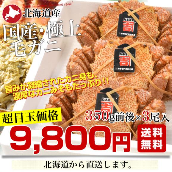 北海道より直送 北海道産 「浜ゆで 毛ガニ」350g前後×3尾入 送料無料 かに カニ 毛がに 毛蟹03