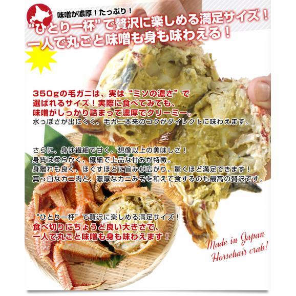 北海道より直送 北海道産 「浜ゆで 毛ガニ」350g前後×3尾入 送料無料 かに カニ 毛がに 毛蟹04