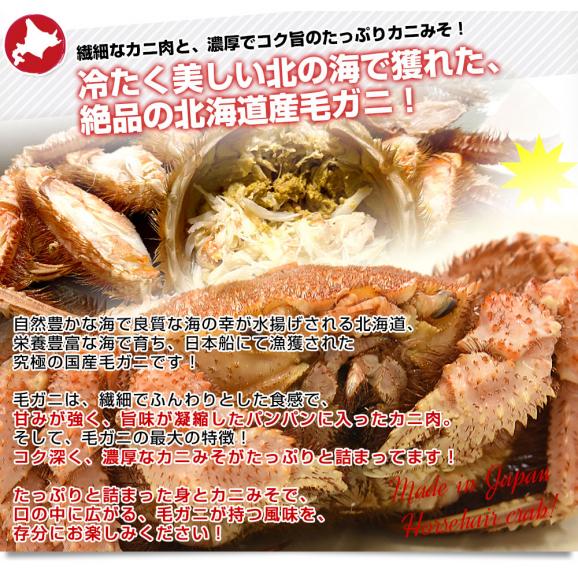 北海道より直送 北海道産 「浜ゆで 毛ガニ」350g前後×3尾入 送料無料 かに カニ 毛がに 毛蟹05