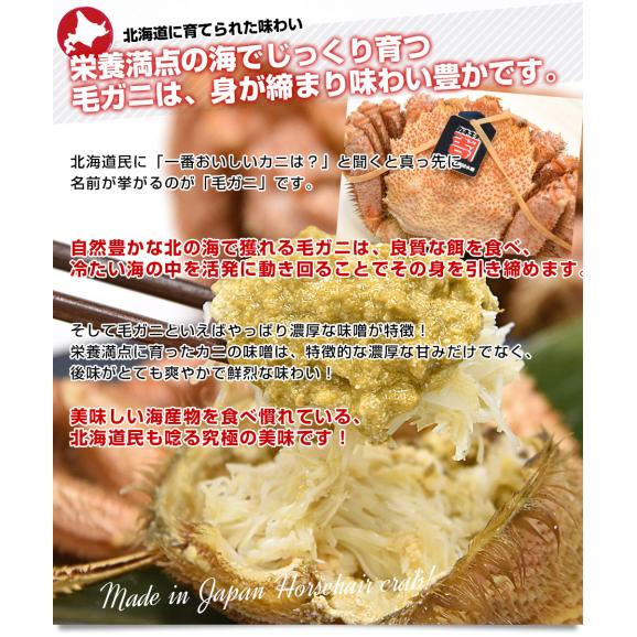 北海道より直送 北海道産 「浜ゆで 毛ガニ」350g前後×3尾入 送料無料 かに カニ 毛がに 毛蟹06
