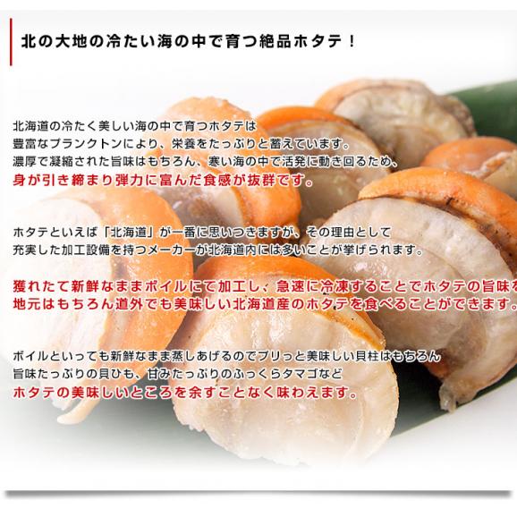 北海道より直送 北海道産 ボイルホタテ 約800g 送料無料 帆立 ほたて04