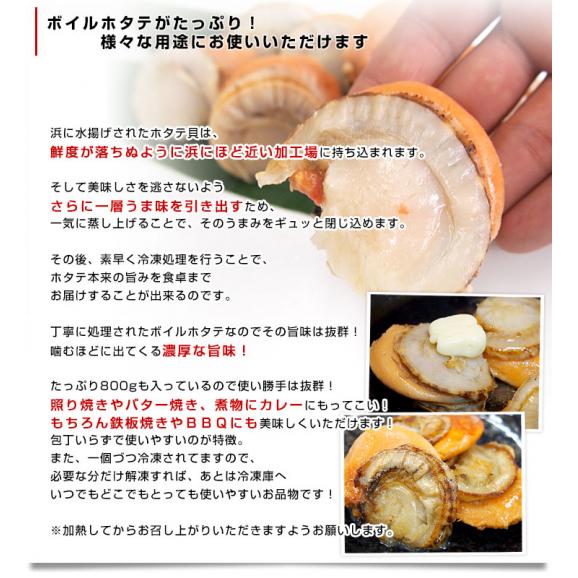 北海道より直送 北海道産 ボイルホタテ 約800g 送料無料 帆立 ほたて05