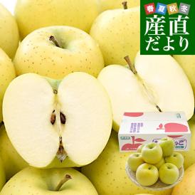 岩手県から産地直送 JAいわて中央 樹上完熟りんご「黄王」等級：特以上 約2.5キロ（9玉から11玉）送料無料 りんご 林檎 リンゴ きおう 黄りんご
