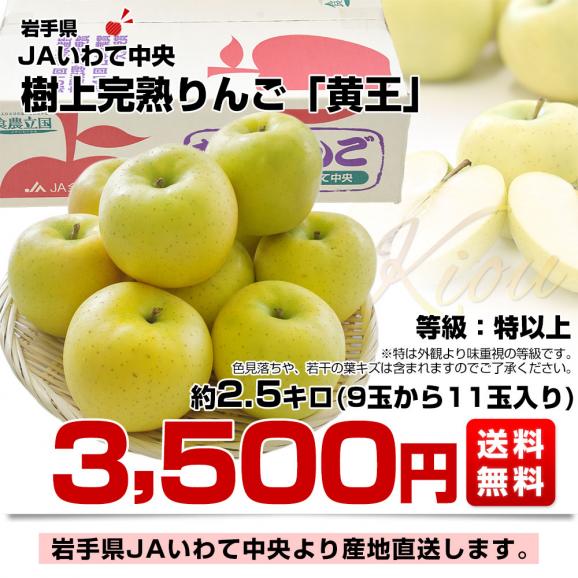 岩手県から産地直送 JAいわて中央 樹上完熟りんご「黄王」等級:特以上 約2.5キロ(9玉から11玉)送料無料 りんご 林檎 リンゴ きおう 黄りんご03
