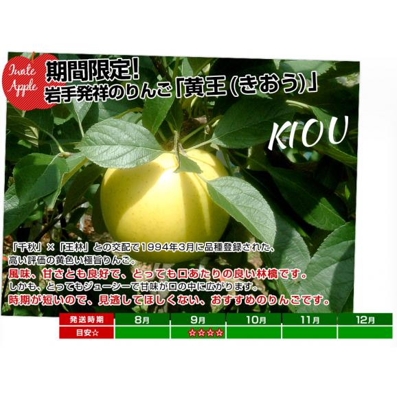 岩手県から産地直送 JAいわて中央 樹上完熟りんご「黄王」等級:特以上 約2.5キロ(9玉から11玉)送料無料 りんご 林檎 リンゴ きおう 黄りんご05