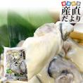 宮城県産 牡蠣(冷凍むき身) 加熱用 Mサイズ 500g 送料無料 生牡蠣 かき カキ