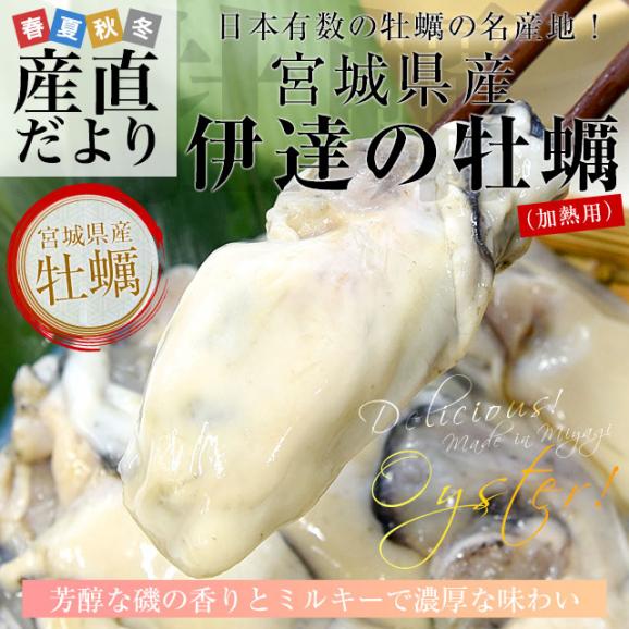 宮城県産 牡蠣(冷凍むき身) 加熱用 Mサイズ 500g 送料無料 生牡蠣 かき カキ02