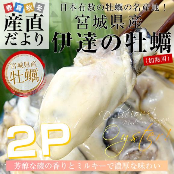 宮城県産 牡蠣(冷凍むき身) 加熱用 Mサイズ 500g×2袋 合計約1キロ 送料無料 生牡蠣 かき カキ02