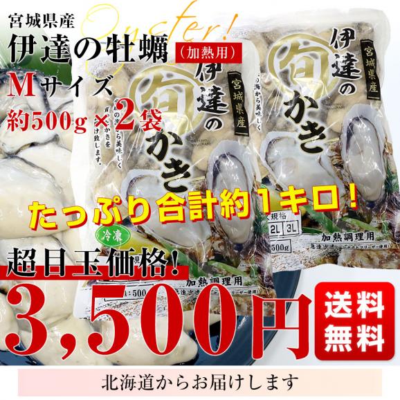宮城県産 牡蠣(冷凍むき身) 加熱用 Mサイズ 500g×2袋 合計約1キロ 送料無料 生牡蠣 かき カキ03