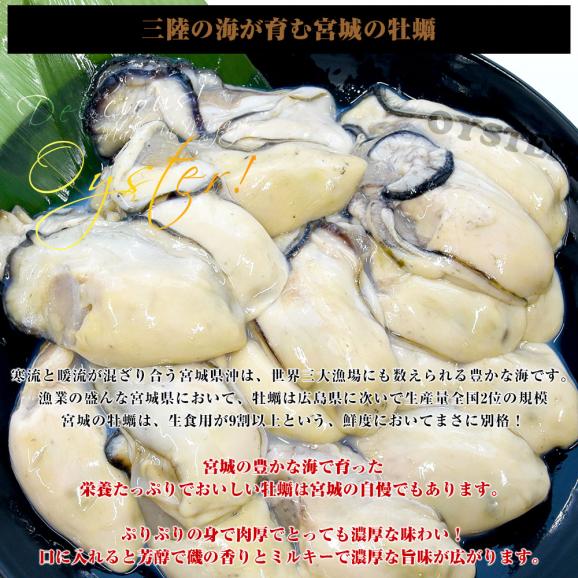 宮城県産 牡蠣(冷凍むき身) 加熱用 Mサイズ 500g×2袋 合計約1キロ 送料無料 生牡蠣 かき カキ04