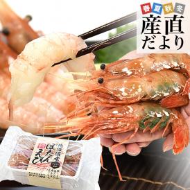 北海道より直送 北海道産 ぼたんえび 大サイズ子持ち 約500g(10尾から15尾) 送料無料 エビ ボタンエビ　牡丹　エビ