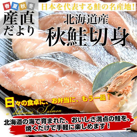 北海道より直送 北海道産 秋鮭切身 5切れ×3パック(合計900g)送料無料 しゃけ シャケ 鮭02