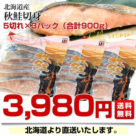 北海道より直送 北海道産 秋鮭切身 5切れ×3パック(合計900g)送料無料 しゃけ シャケ 鮭03