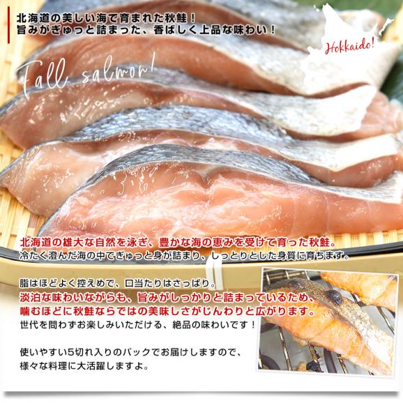 北海道より直送 北海道産 秋鮭切身 5切れ×3パック(合計900g)送料無料 しゃけ シャケ 鮭04