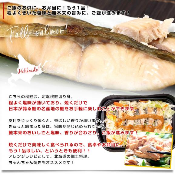 北海道より直送 北海道産 秋鮭切身 5切れ×3パック(合計900g)送料無料 しゃけ シャケ 鮭05