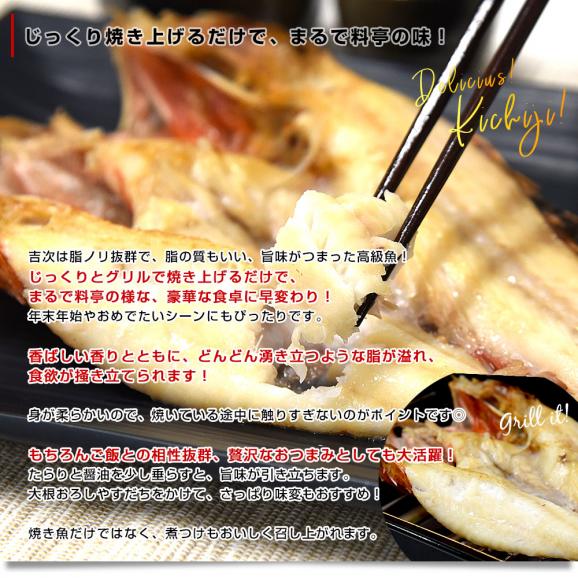 北海道から直送 北海道加工 吉次開き(きちじ) 6尾入り(1尾約350gから450g) 送料無料 吉次 きちじ キチジ アラスカキチジ05