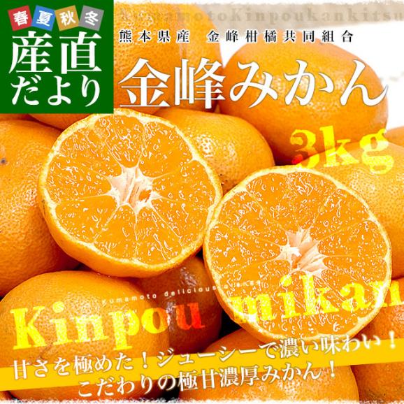 熊本県産 金峰柑橘共同組合 金峰みかん 赤秀品 MからSサイズ 約3キロ(30玉から36玉前後)送料無料 ミカン 蜜柑 きんぽう02